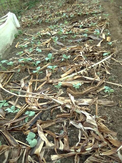 WhatsApp Image 2026-03-12 at 00.55.26