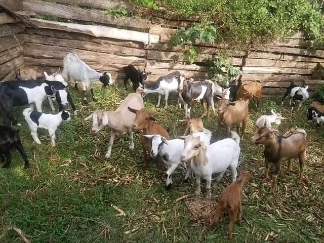 WhatsApp Image 2026-03-12 at 00.55.27 (4)