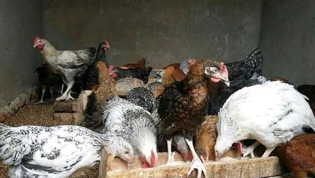 WhatsApp Image 2026-03-12 at 00.55.27 (5)