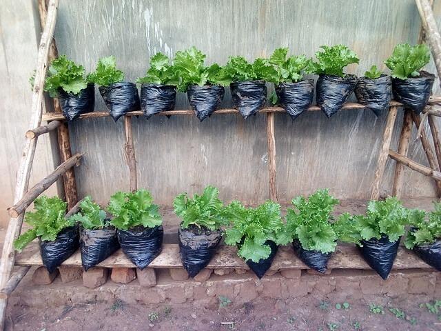 WhatsApp Image 2026-03-12 at 00.55.27 (6)