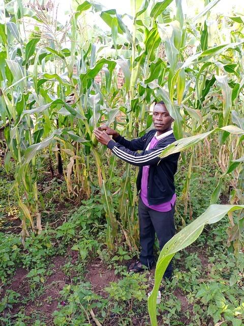 WhatsApp Image 2026-03-12 at 00.55.28 (1)