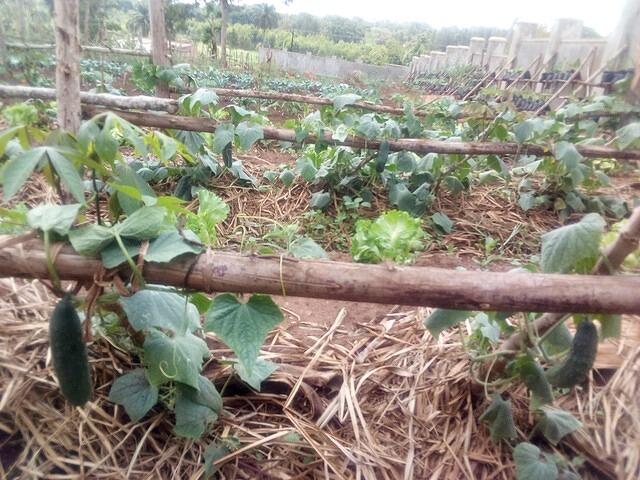 WhatsApp Image 2026-03-12 at 00.55.28