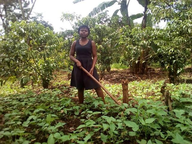 WhatsApp Image 2026-03-12 at 00.57.17 (3)