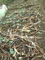 WhatsApp Image 2026-03-12 at 00.55.26