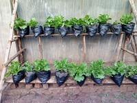 WhatsApp Image 2026-03-12 at 00.55.27 (6)