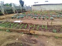 WhatsApp Image 2026-03-12 at 00.55.27 (7)