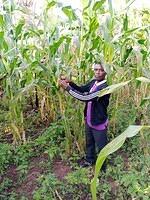 WhatsApp Image 2026-03-12 at 00.55.28 (1)