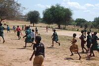 WhatsApp Image 2026-03-12 at 00.57.18 (2)